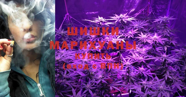 PSILOCYBIN Балабаново